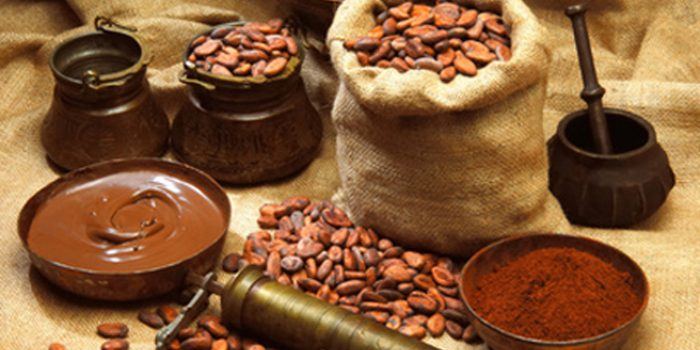 Usos y propiedades del cacao