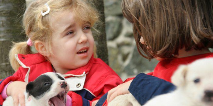 ¿Cómo se sienten los niños ante la muerte de una mascota?