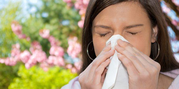 Alergia al polen, remedios naturales