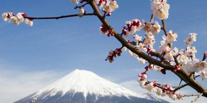 ¿Qué es el Reiki Usui japonés?