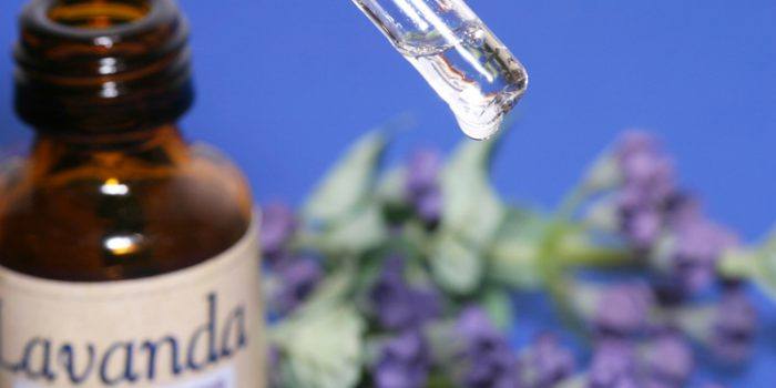 Conoce cómo cura la aromaterapia