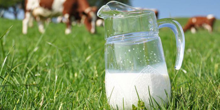 Conoce los beneficios de la leche sin lactosa