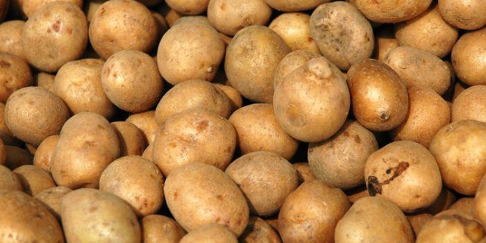 Las Patatas, información nutricional
