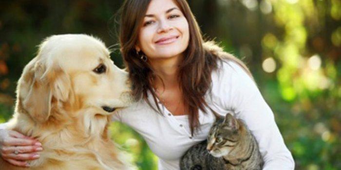 ¿La convivencia entre perros y gatos es imposible?