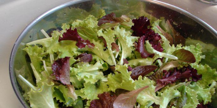 Recetas de ensaladas frías fáciles de preparar