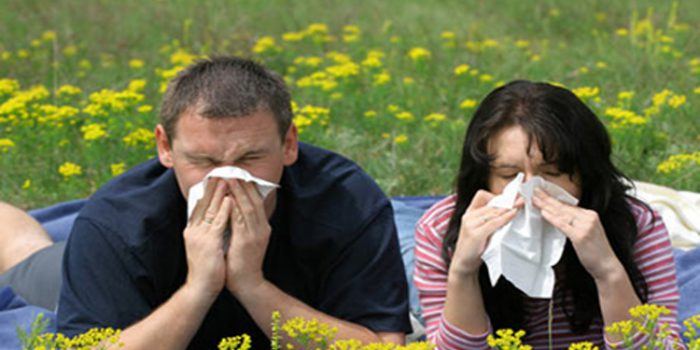 Alergia primaveral, prevención y tratamiento