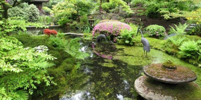 Armonizar el jardín, según el feng shui