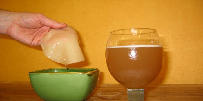 Consejos para la preparación del té Kombucha